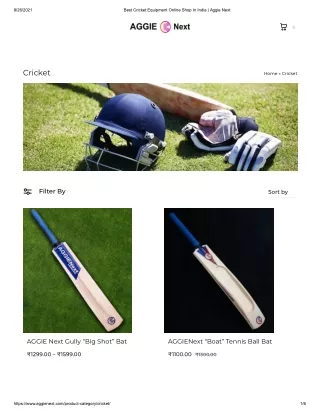 Best cricket equipment online shop in India