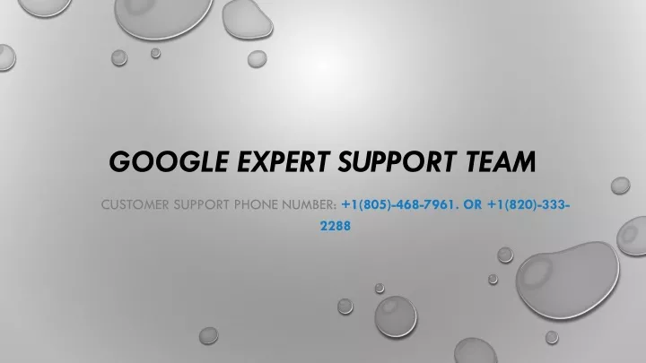 google expert support team