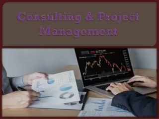 consulting project management