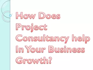 How Does Project Consultancy help In Your Business Growth?