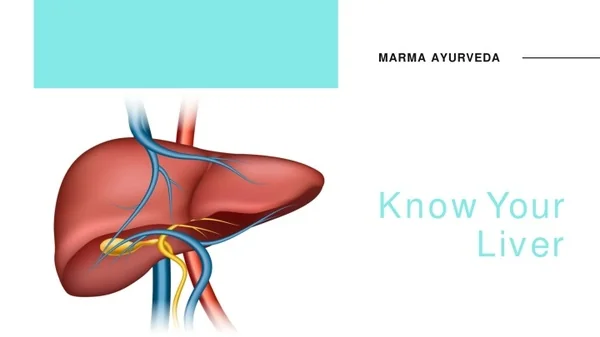 Know about your Liver and best ayurvedic medicine for liver problem