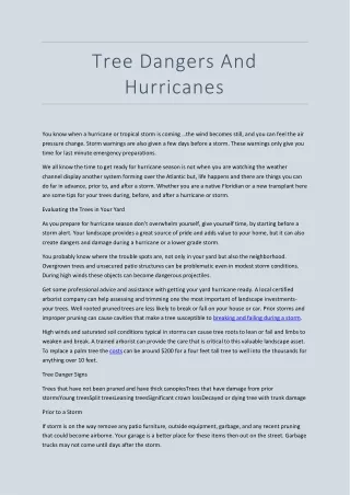 tree dangers and hurricanes