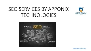SEO services in mysore