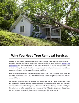 Why You Need Tree Removal Services