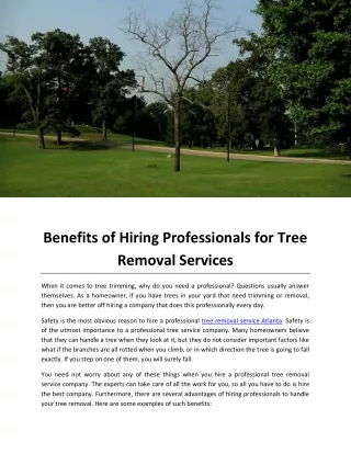 Benefits of Hiring Professionals for Tree Removal Services