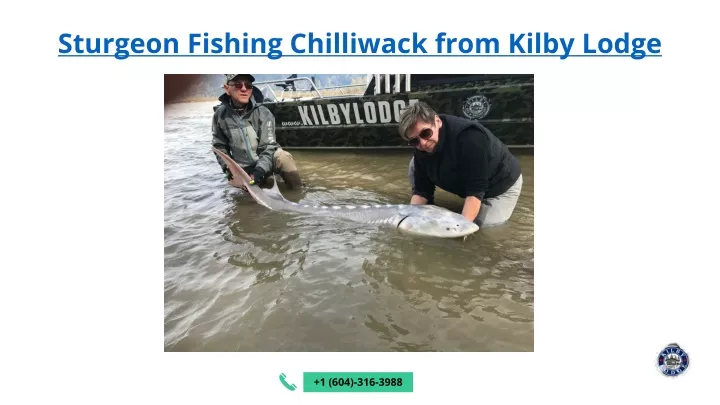 sturgeon fishing chilliwack from kilby lodge