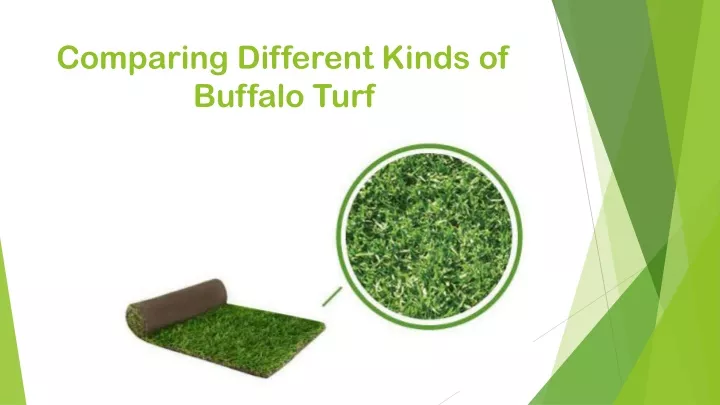 comparing different kinds of buffalo turf