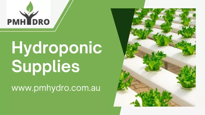 hydroponic supplies
