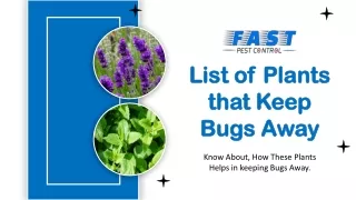 List of Plants that Keep Bugs Away | Pest Control Tips | Fast Pest Control