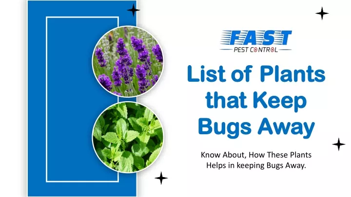 list of plants list of plants that keep that keep