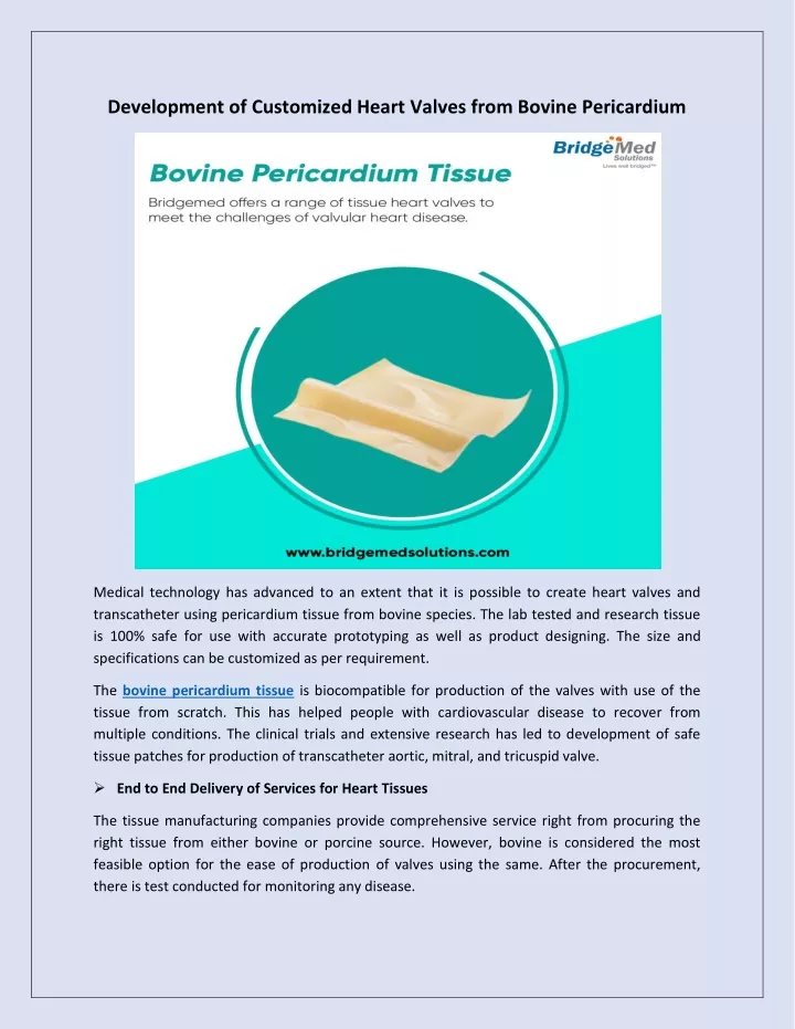 development of customized heart valves from