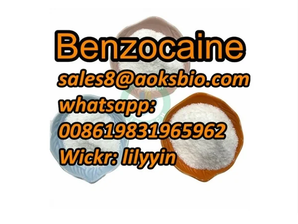 UK Netherland USA Canada 94-09-7 Benzocaine powder 137-58-6,73-78-9, 59-46-1 Benzocaine