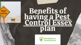 Benefits of having a Pest Control Essex plan