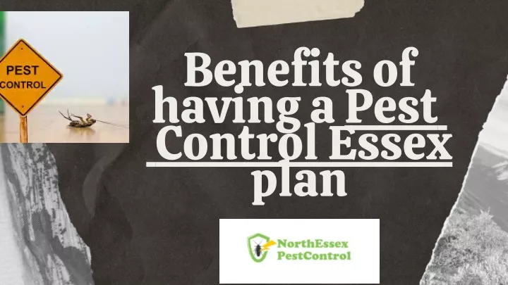 benefits of having a pest control essex plan