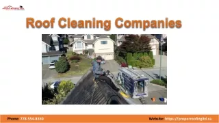 Best Roof Cleaning Companies In Coquitlam | Proper Roofing