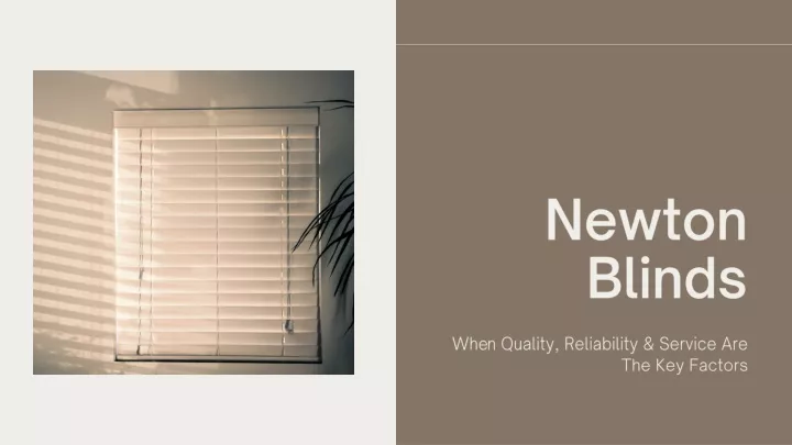 newton blinds