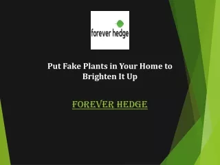 Forever Hedge -Put Fake Plants in Your Home to Brighten It Up