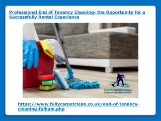 professional end of tenancy cleaning