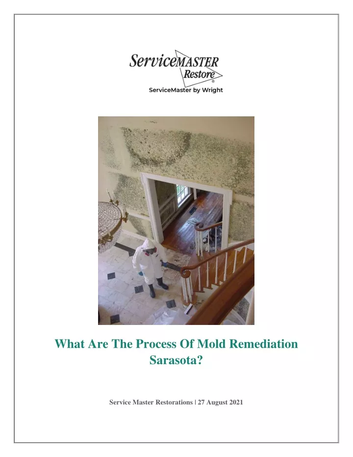 what are the process of mold remediation sarasota