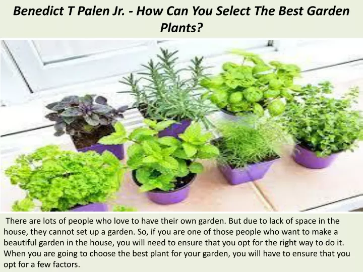 benedict t palen jr how can you select the best garden plants