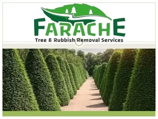 Asbestos Removal Sydney - Farache Tree Services