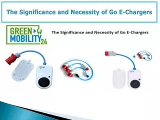 The Significance and Necessity of Go E-Chargers