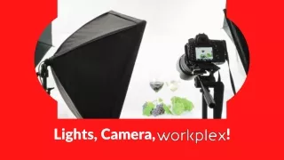 lights camera