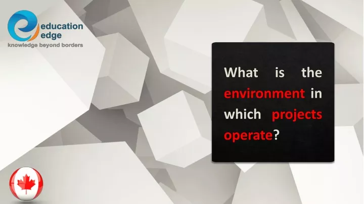 what is the environment in which projects operate