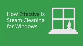 How Effective is Steam Cleaning for Windows..