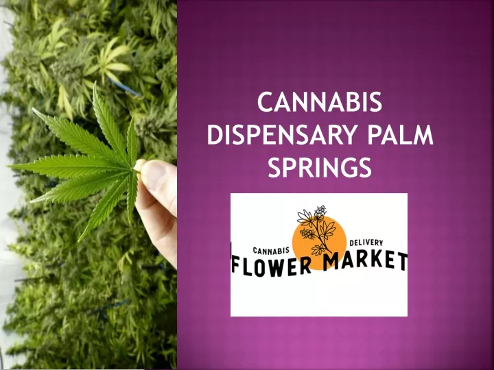 cannabis dispensary palm springs