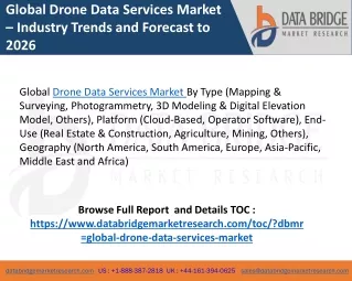 Drone Data Services Market