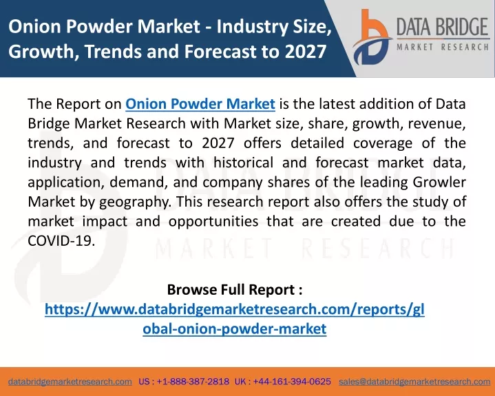onion powder market industry size growth trends