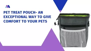 Pet Treat Pouch- An Exceptional Way To Give Comfort To Your Pets