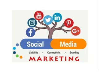 Social Media Marketing Agency in kolkata