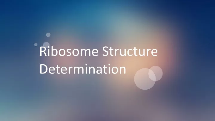 ribosome structure determination