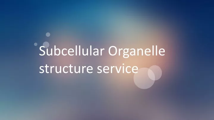 subcellular organelle structure service
