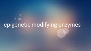 epigenetic modifying enzymes