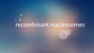 recombinant nucleosomes