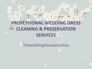 Professional Wedding Dress Cleaning & Preservation Services