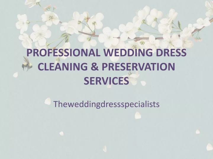 professional wedding dress cleaning preservation services