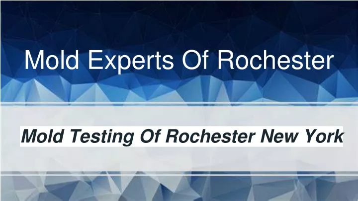 mold experts of rochester