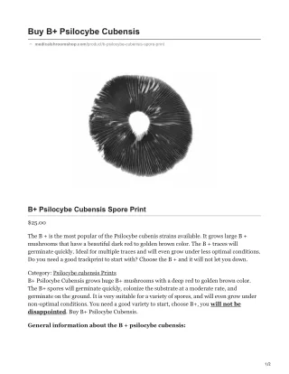 buy b psilocybe cubensis
