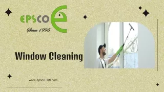 Window Cleaning