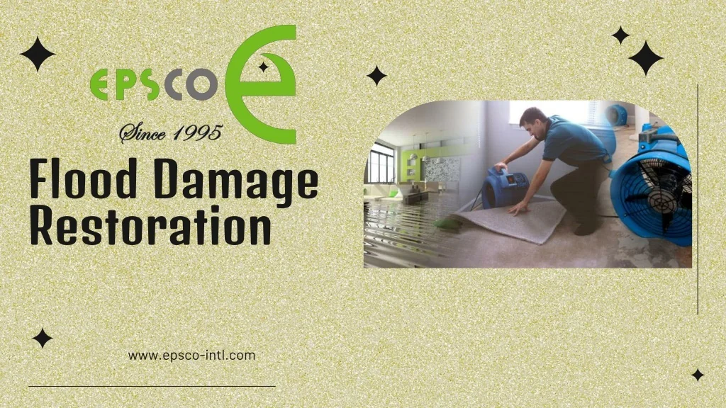 PPT - Flood Damage Restoration PowerPoint Presentation, free download ...
