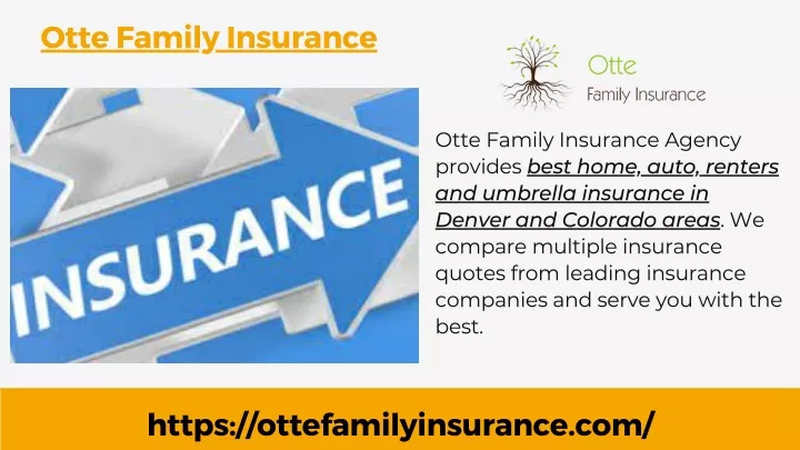 otte family insurance