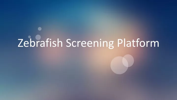 zebrafish screening platform