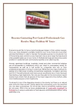Reasons Contacting Pest Control Professionals Can Resolve Many Problem Of Yours - slide 1