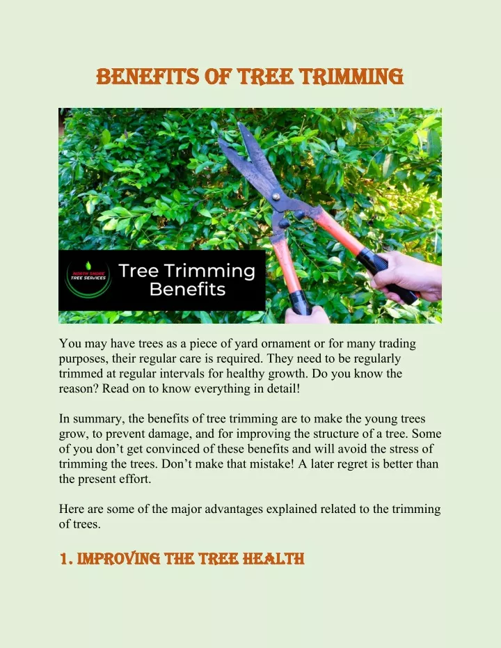 benefits of tree trimming benefits of tree