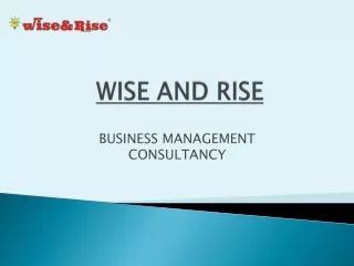 Business Management Consultants & Outsourcing Services