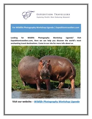 For Wildlife Photography Workshop Uganda | Expeditiontravellers.com